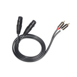 Câble double RCA vers double XLR mâle connecteur audio stéréo Hifi micro